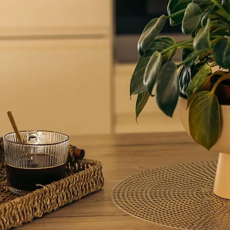 Appartement Krajnovic *