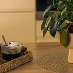 Apartment Krajnovic *